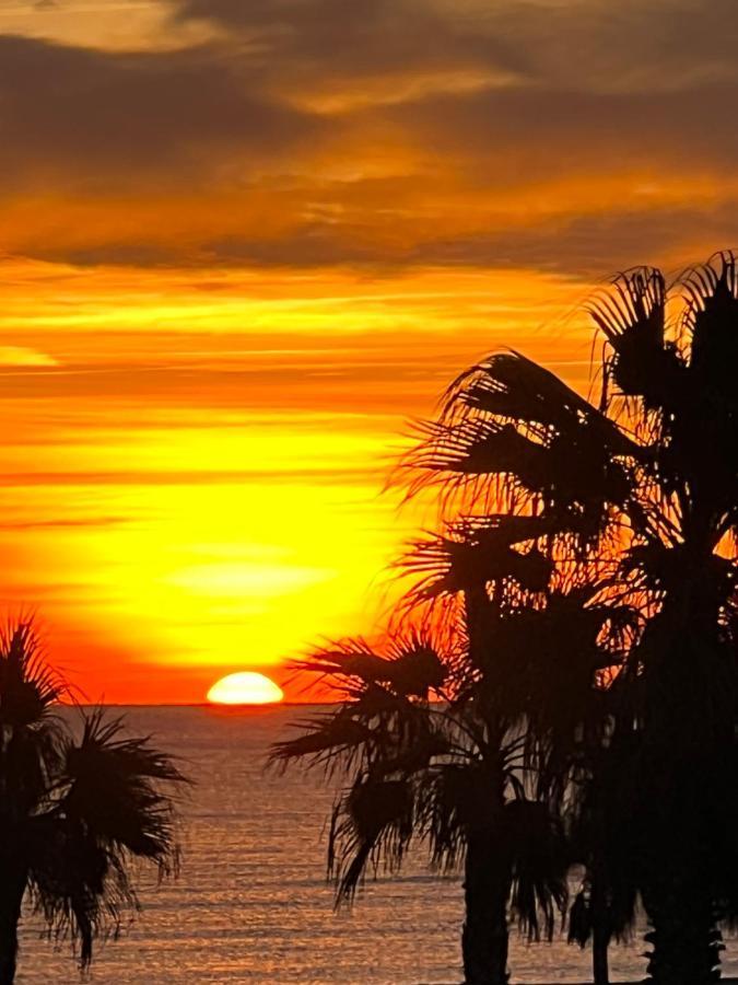 Azur Daire Le Barcarès Dış mekan fotoğraf