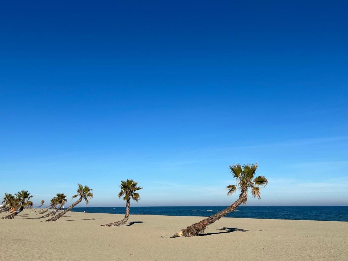 Azur Daire Le Barcarès Dış mekan fotoğraf